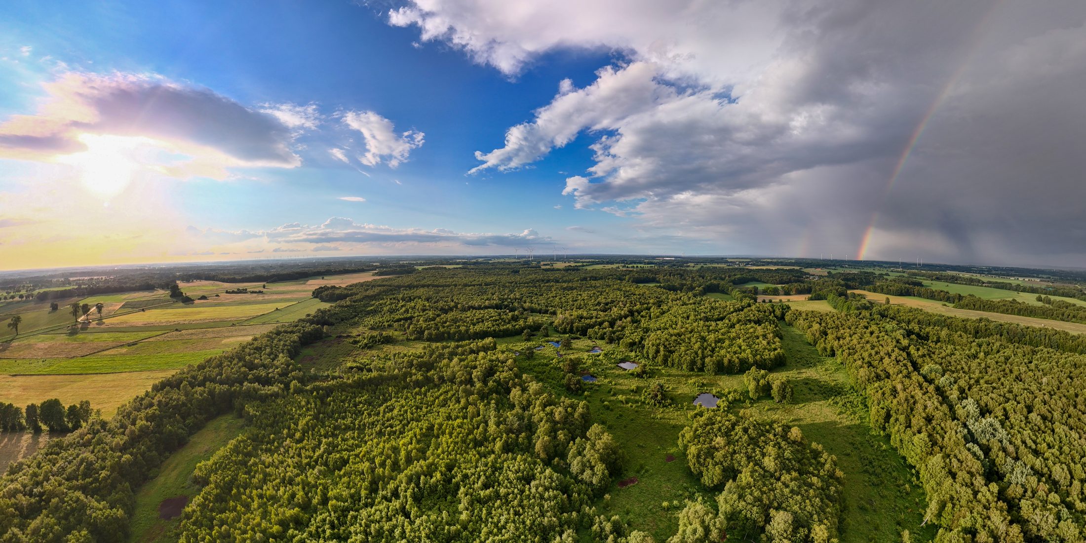 Panoramablick über die Landschaft rund um Heidenau